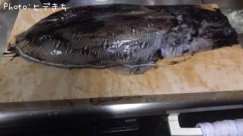 ¥â¥ó¥´¥¦¥¤¥«