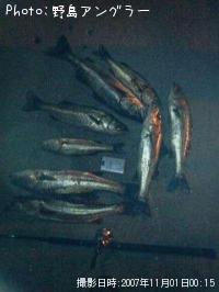 �����Х�