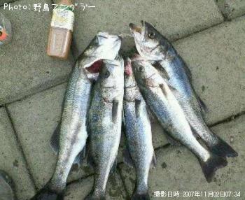 �����Х�