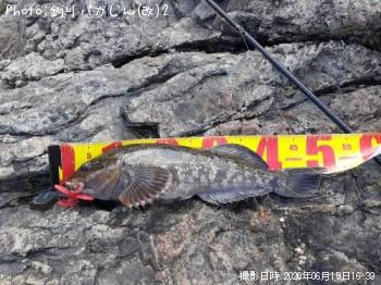 �����ʥ�