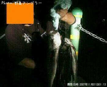 �����Х�