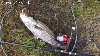 �����Х�