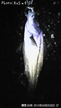 �����Х�