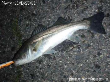 �����Х�