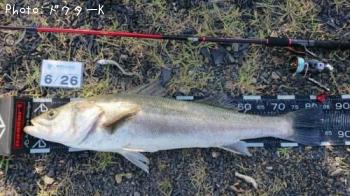 �����Х�