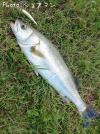 �����Х�