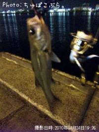 �����Х�