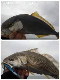 ���祴���������