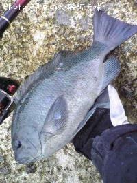 ¸ýÂÀ¥á¥¸¥Ê