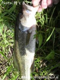 �֥�å��Х�