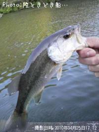 �֥�å��Х�