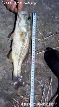 ¥Ö¥é¥Ã¥¯¥Ð¥¹