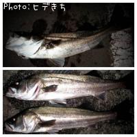 �����Х�