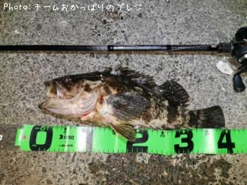 ¥¿¥±¥Î¥³¥á¥Ð¥ë