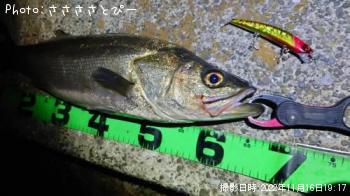 �����Х�