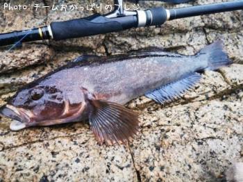 �����ʥ�