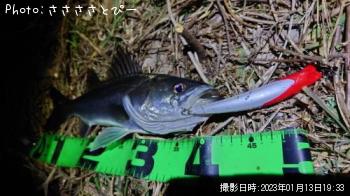 �����Х�