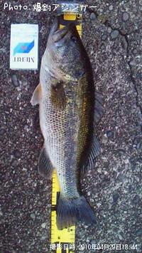 ¥Ö¥é¥Ã¥¯¥Ð¥¹