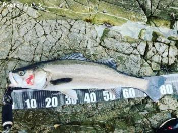 �����Х�