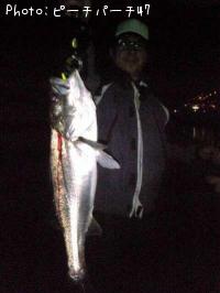 �����Х�