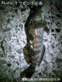 �����ʥ�