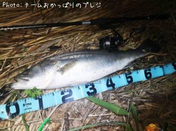 �����Х�