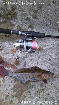 �����ʥ�