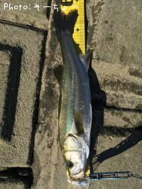 �����Х�