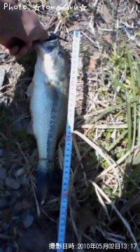 ¥Ö¥é¥Ã¥¯¥Ð¥¹