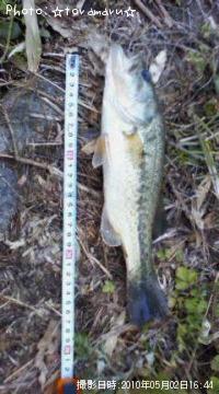 ¥Ö¥é¥Ã¥¯¥Ð¥¹