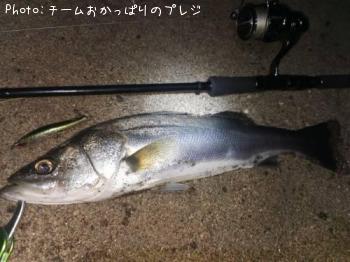 �����Х�