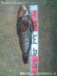 �����ʥ�