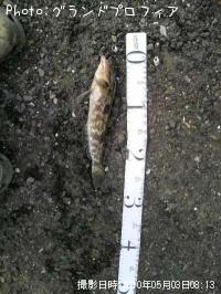 �����ʥ�