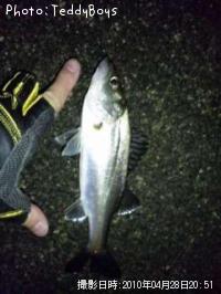 �����Х�