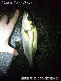 �����Х�