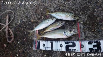 ¥¢¥¸¡õ¥µ¥Ð