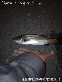 �����Х�