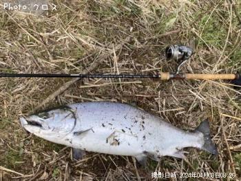 ������ޥ�