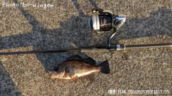 ���󥵥�������