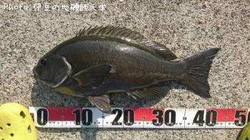 �����᥸��