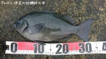 ¸ýÂÀ¥á¥¸¥Ê