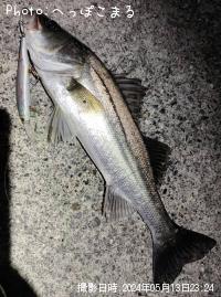 �����Х�