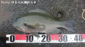 ¸ýÂÀ¥á¥¸¥Ê