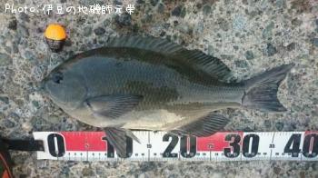 ¸ýÂÀ¥á¥¸¥Ê