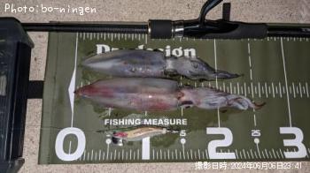 ���󥵥�����