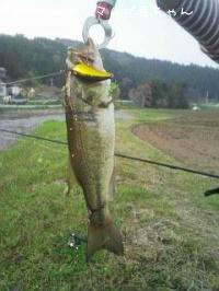 ¥Ö¥é¥Ã¥¯¥Ð¥¹