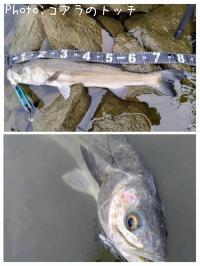 �����Х�