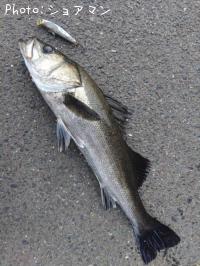 �����Х�