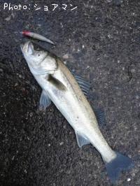 �����Х�