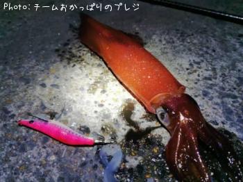 ���󥵥�����